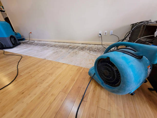 Professional Water Removal technician working in Carver, MA